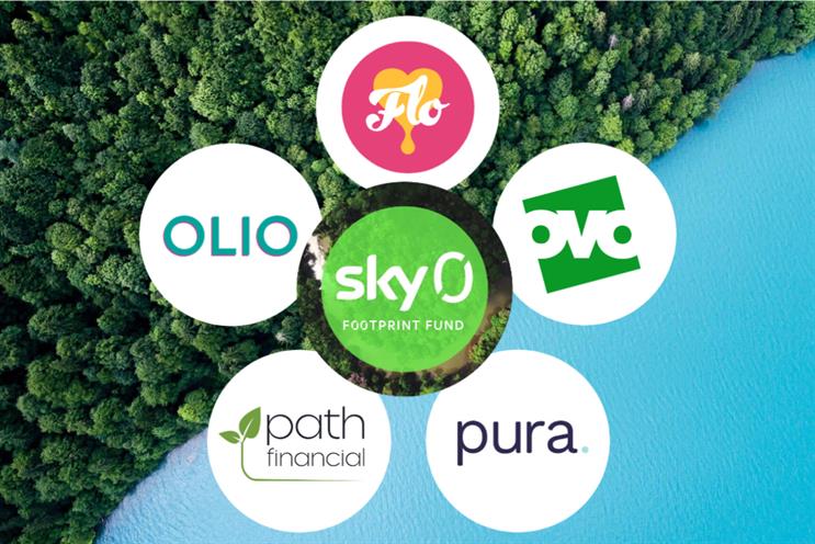 Sky Footprint Fund: five winners