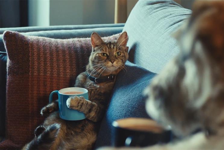 Tetley: Spark44 introduced tea-loving cat Ella 