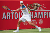 Stella Artois searches for new sponsorship strategy