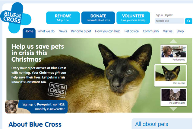 Blue Cross: charity hires M&C Saatchi Group to handle its media business