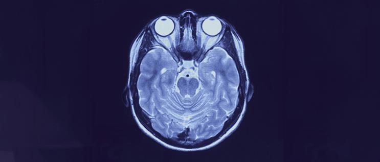 How science can help marketers become more effective