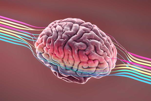 Orlando Wood: effectiveness research stresses important of left- vs right-brained thinking
