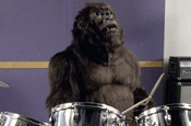 Gorilla...in running for Cannes Grand Prix
