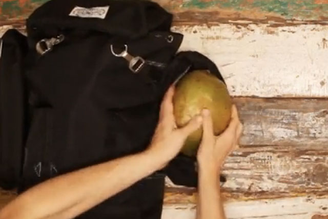 Vita Coco: ditch the coconuts in festival Vine