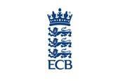 English Premier League launch may raise cricket's appeal to consumer brands