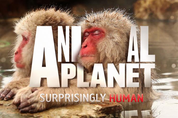 Discovery launches new Animal Planet look