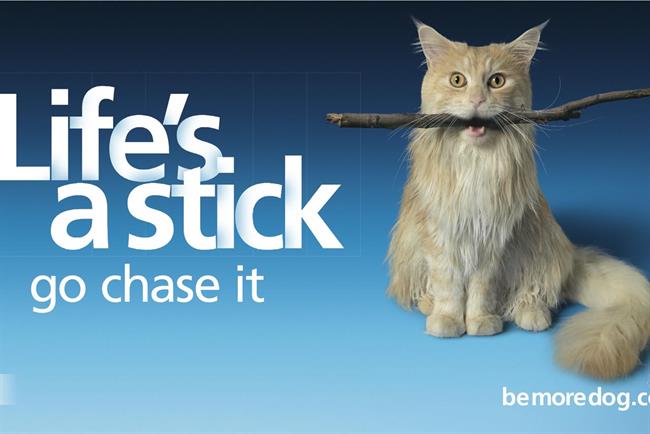 O2's best ads as 'Be more dog' campaign ends