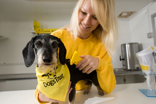 can you take your dog to dogs trust