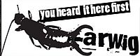 Earwig TV: MySpace music promo channel