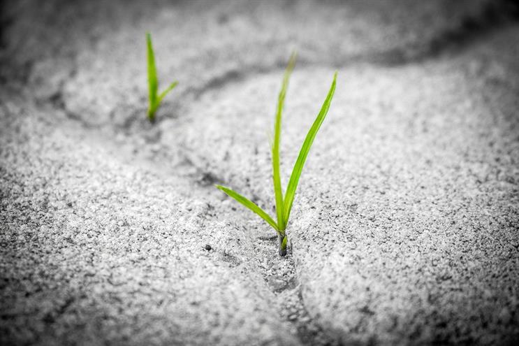 Green shoots: fewer campaigns are being deferred indefinitely (Picture: Pixabay.com)