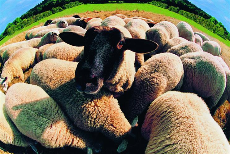 How behavioural economics was used to herd shoppers