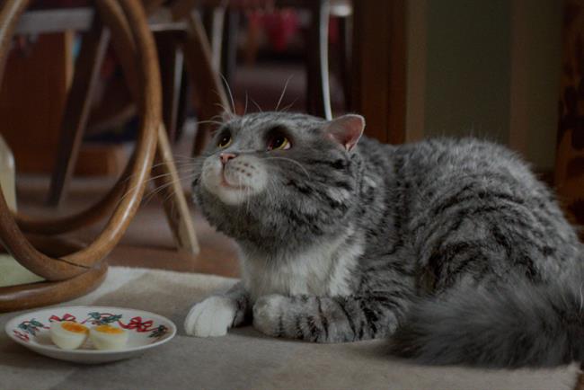 Sainsbury's: 'Christmas is for sharing' by AMV BBDO
