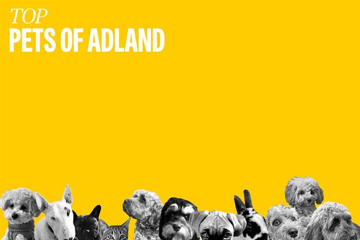 The Lists 2021: Top 10 pets of adland