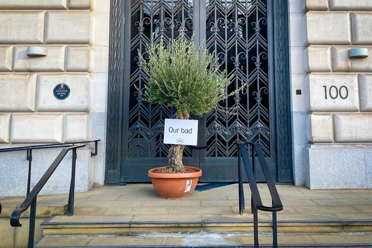 Olive branch: has been a symbol of peace since ancient Egyptian times