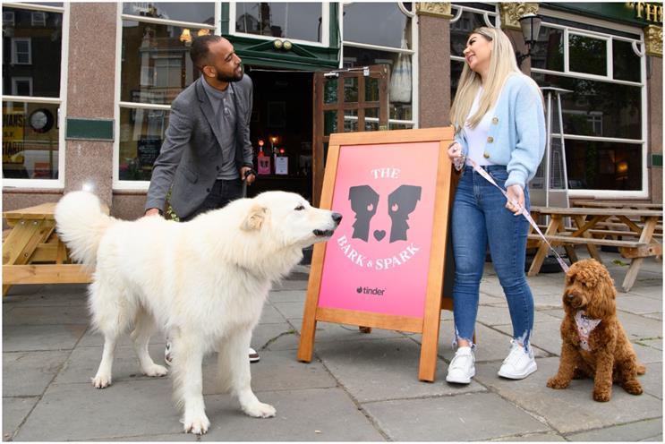 Tinder: dogs will accompany their owners on dates 