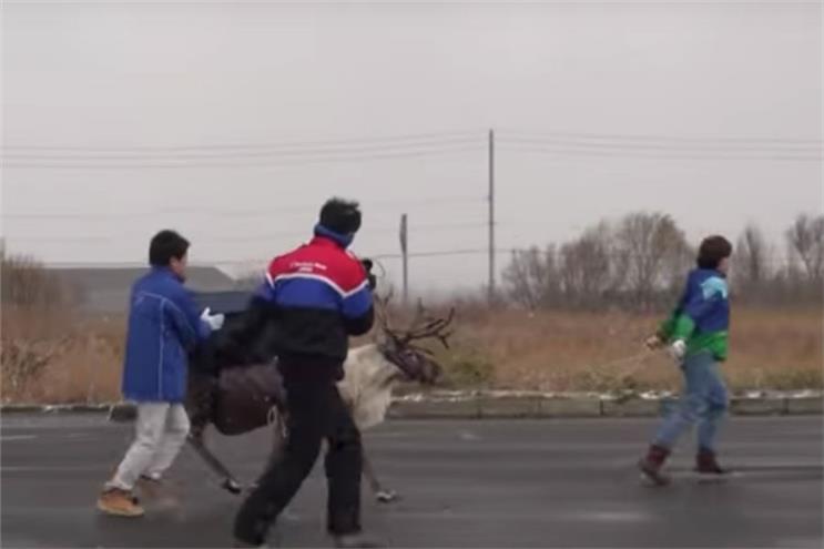 An unruly delivery deer in action