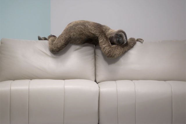 Sofaworks: 'sniff' by TBWA\Manchester