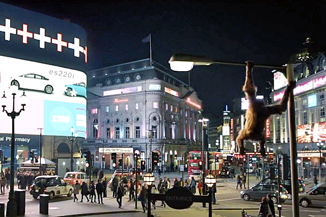 SSE: Maya the orangutan swings from a lamppost in Piccadilly Circus in  TV ad