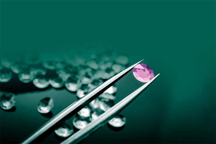 Why everyone should have an equal opportunity to shine