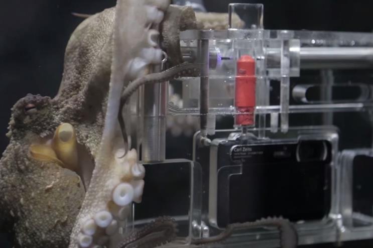 Rambo the ‘octographer’ has been trained to take photographs using Sony's TX30 camera