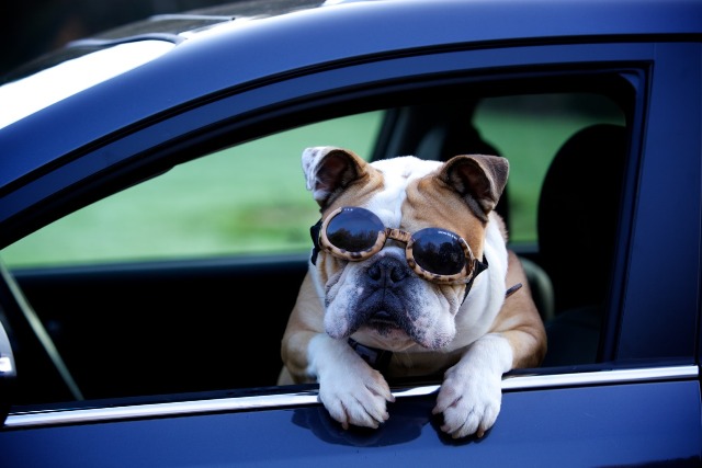 Kia: rolling out a new marketing campaign to kick off 2015