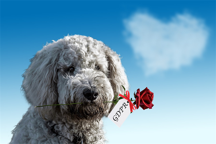 Why GDPR-day is Valentine's day for brands