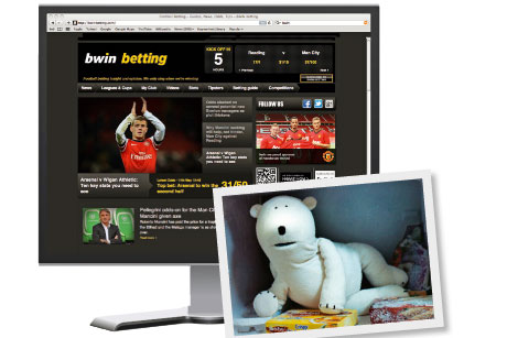 Switch: Bwin and Birds Eye use PR firms for their online work