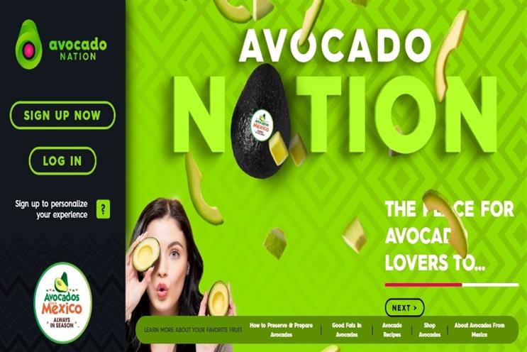 Avocado from mexico