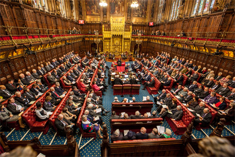 Institution: Plans to reform the House of Lords collapsed in August