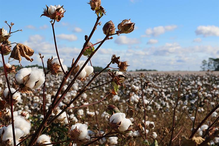 H+K wins global cotton council brief