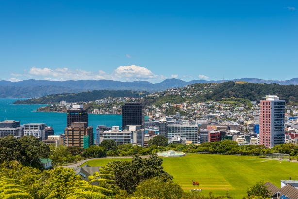 In Wellington, New Zealand, success arises through partnering