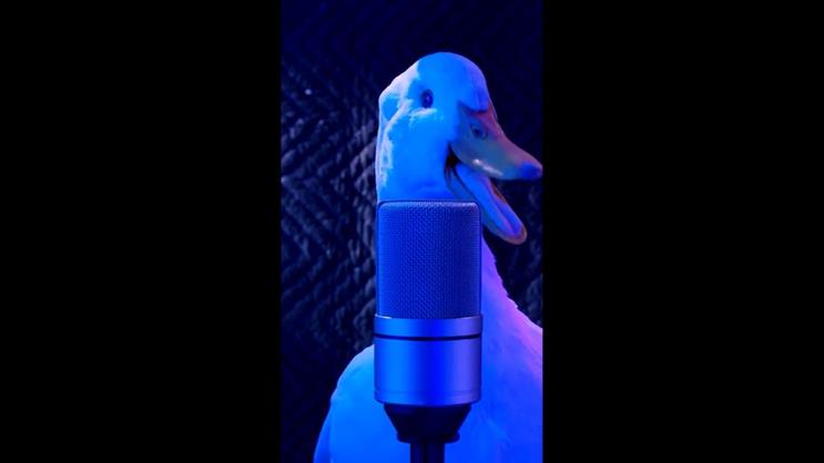 The brand posted its first #DuckVibes video on TikTok on Tuesday morning.
