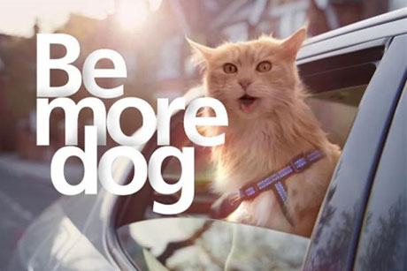 Be more dog: O2's latest ad campaign
