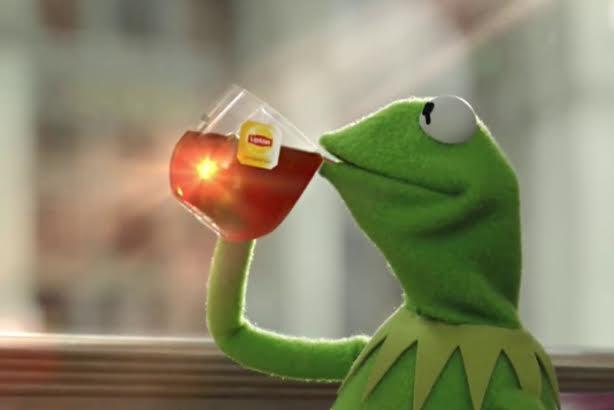 Geico, Denny's, and others respond after GMA calls Kermit the Frog 'Tea Lizard'