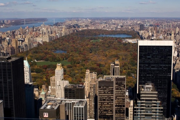 View of New York City's Central Park (Photo credit: Darren McGee for Empire State Development)