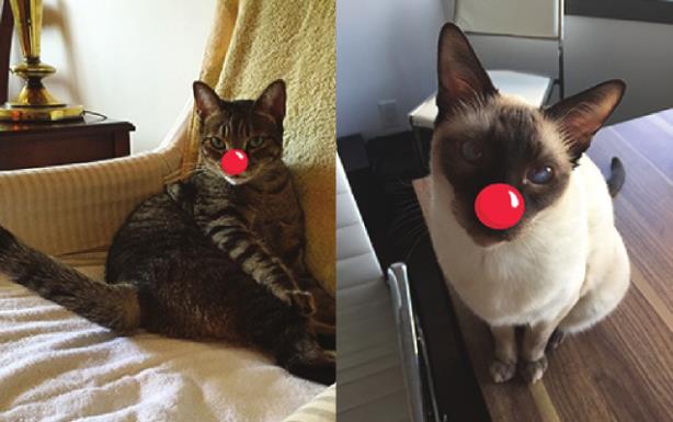 Red Nose Day supporters Sebastian and Roscoe. (Image made via the Red Nose Day app). 