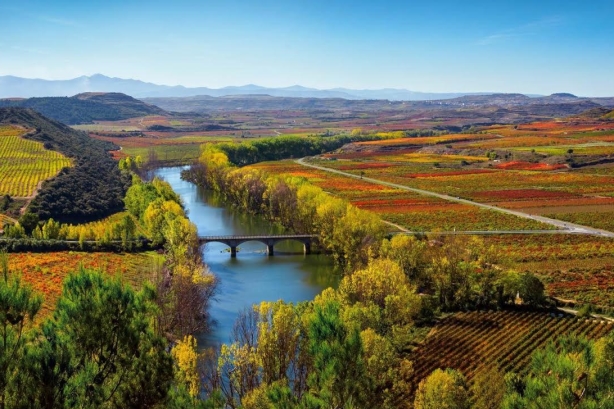 Finn Partners to give U.S., Canadian markets a taste of Rioja wines