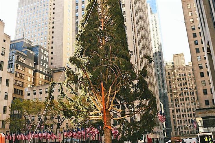 Are people being too mean to the raggedy Rockefeller Center Christmas tree?