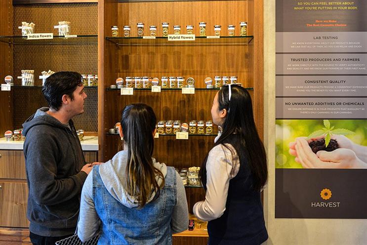 Branding cannabis: A woman-led SXSW panel digs into the emerging trends and potentials of the growing industry