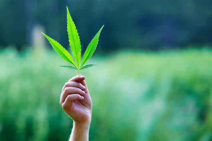 Brands are using influencers to get around cannabis restrictions