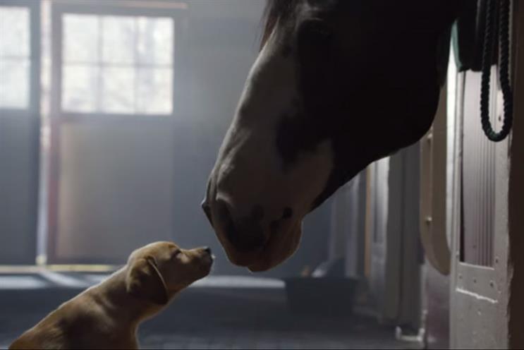 Budweiser's "Puppy Love" by Anomaly was the most viral ad of the 2014 Super Bowl.