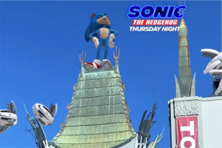A hedgehog in its natural habitat