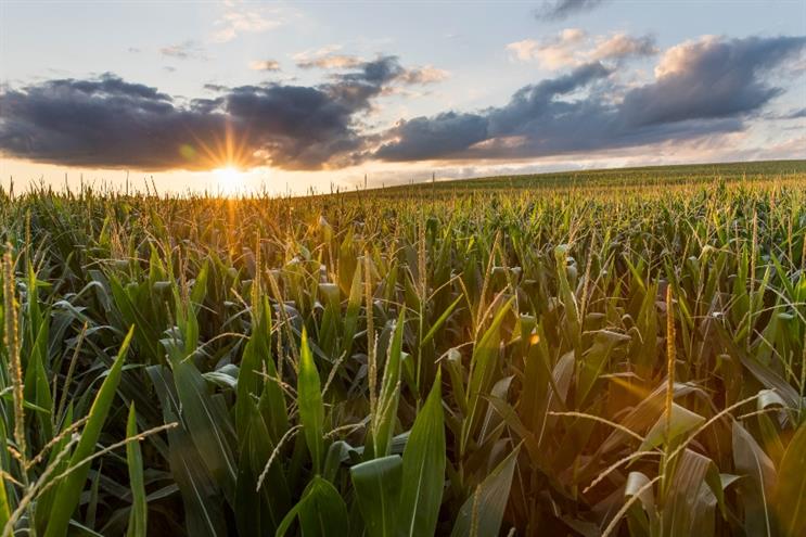BASF Agricultural Solutions taps VMLY&R to enhance U.S. grower community
