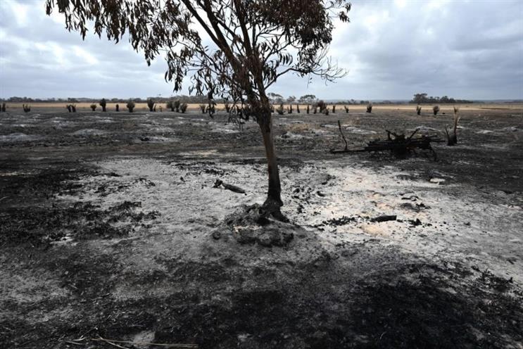Anomaly 'fires' Aussie staff to help devastation Down Under
