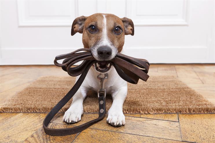 PetSmart barks up the right (marketing) tree