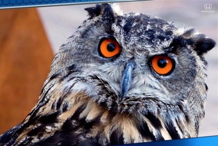 Honda Pilot stages its own SuperB-Owl