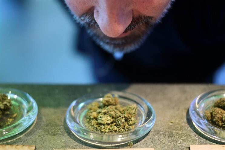 Havas is first ad holding company to launch major cannabis consultancy
