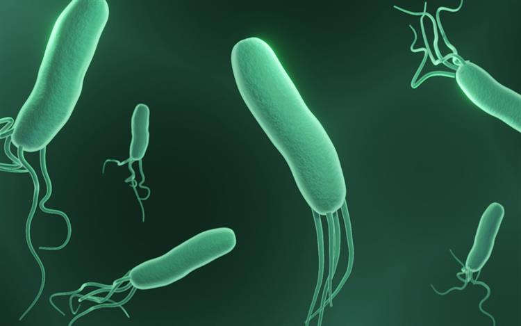 Combination bismuth/antibiotic capsule launched for H. pylori | MIMS online