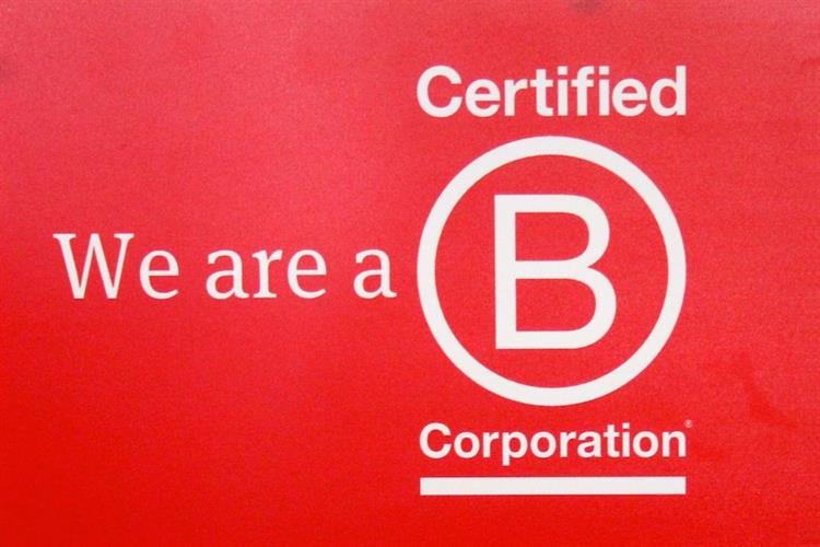 Join The B Hive: Why Agencies Are Seeking B Corp Certification ...