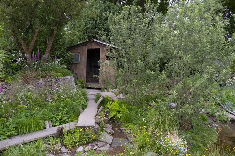 Rewilding garden wins best in show at Chelsea | HortWeek